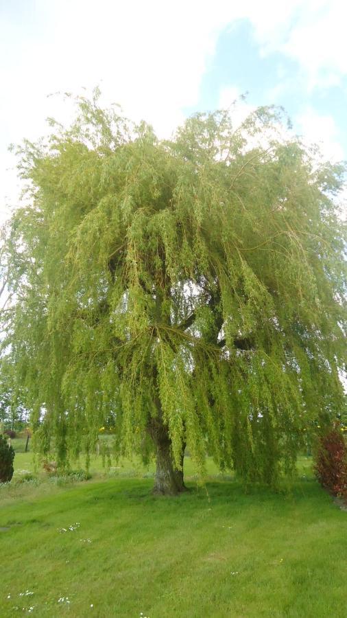 Au Grand Saule Villa Les Attaques Стая снимка